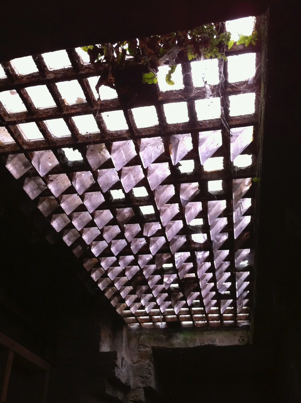 One of my earliest photos captured on an iPhone. This was taken in the basement of an art gallery, looking up at the street as we were preparing an installation by Rebecca Glover.