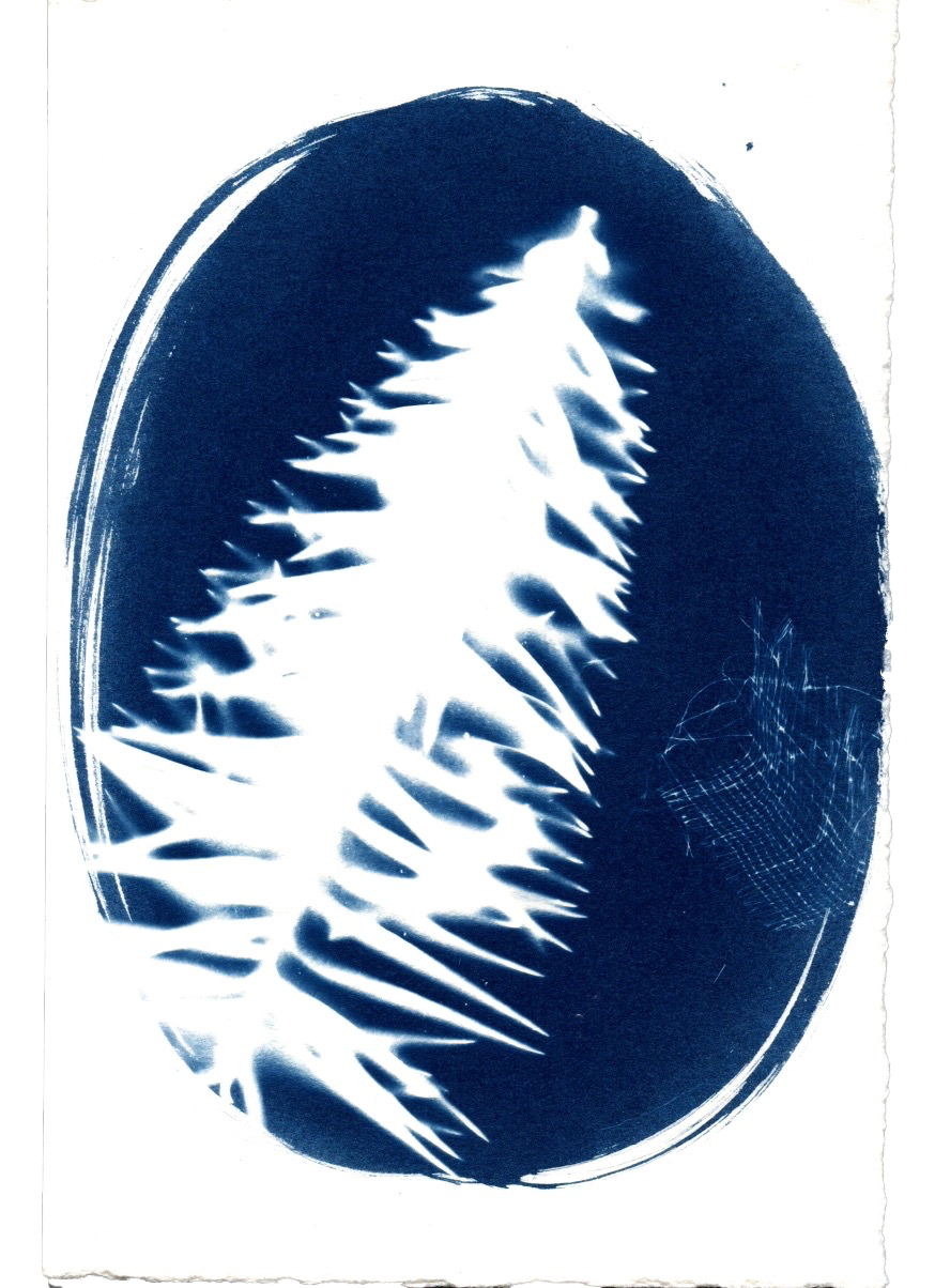 Paper coated with oval brush strokes, dried pine leaf, and fine netting. An exercise in balancing finer details against a more dominant object.