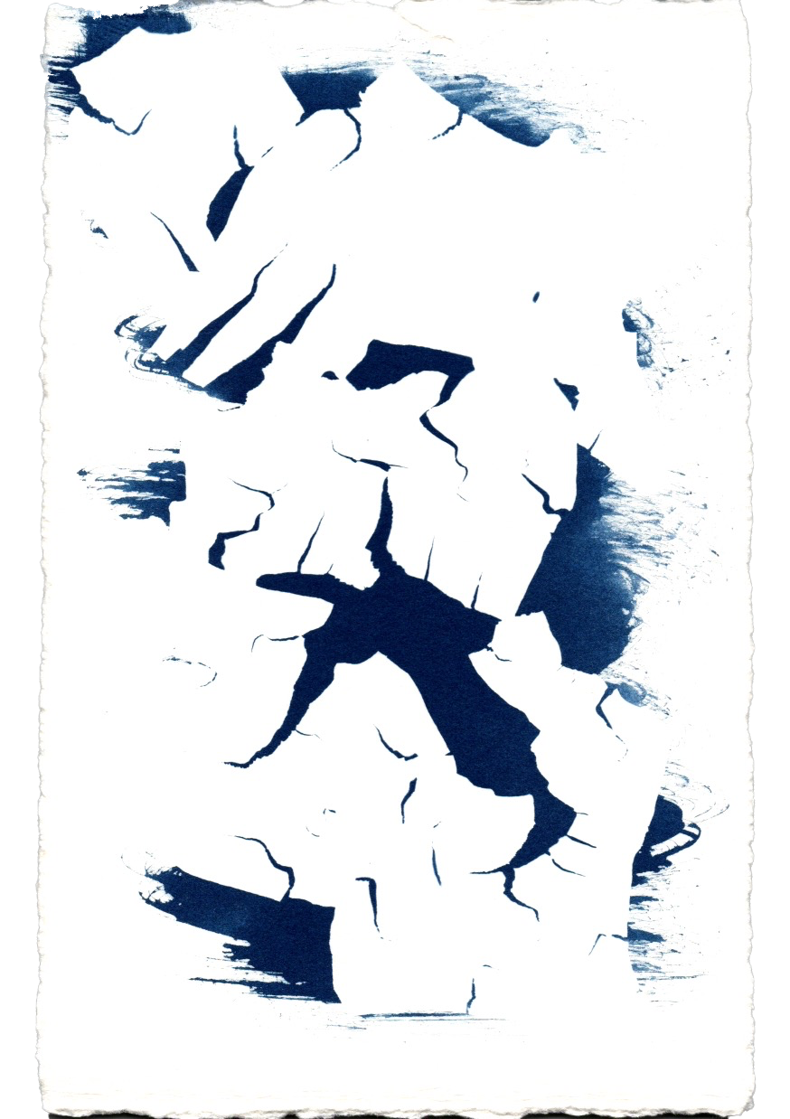 Dried onion skin flattened under the glass reminded me of an aerial shot of an ocean ice shelf, but colour inverted.