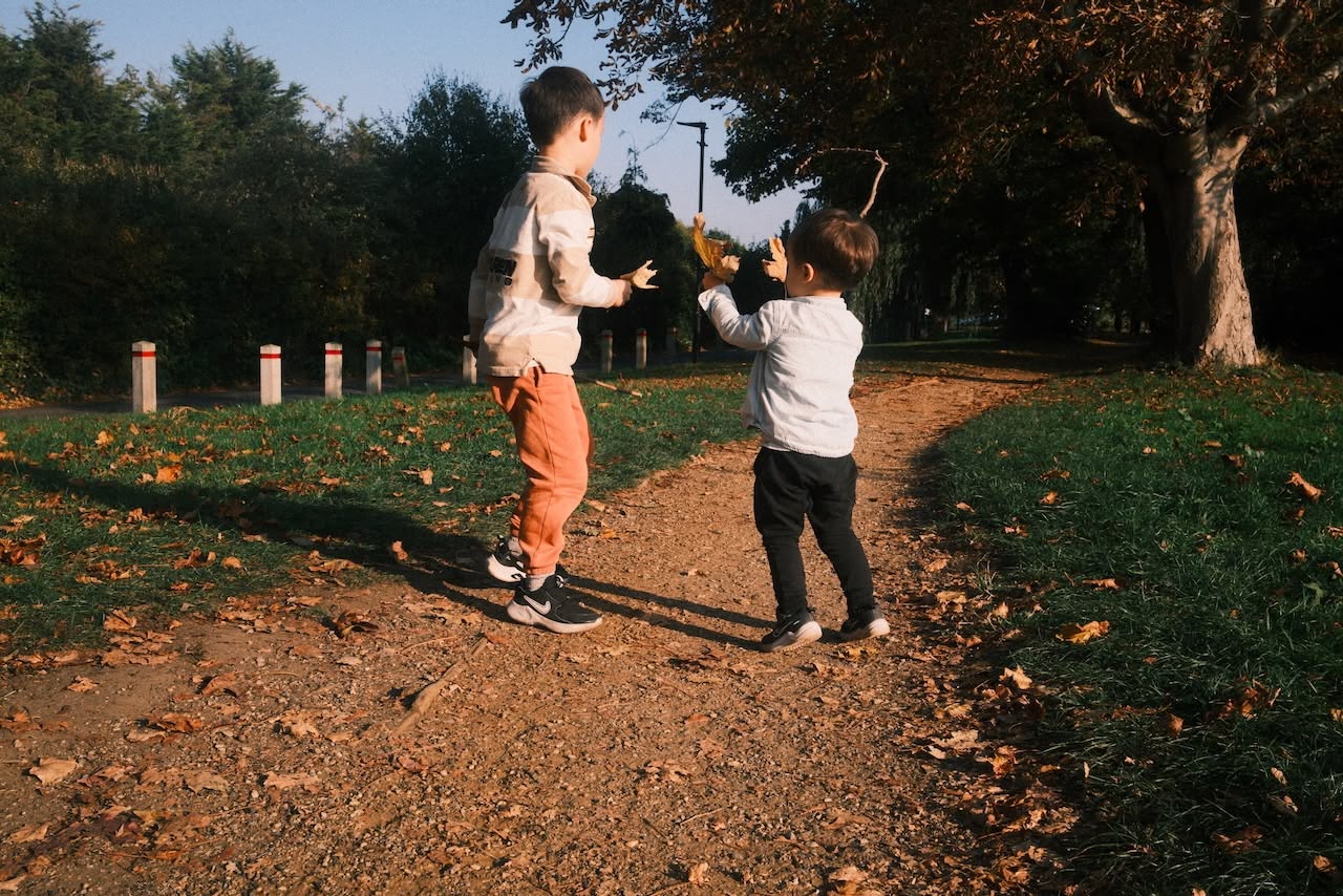 Two boys playing together. The younger holds up two autumn leaves for the older boy