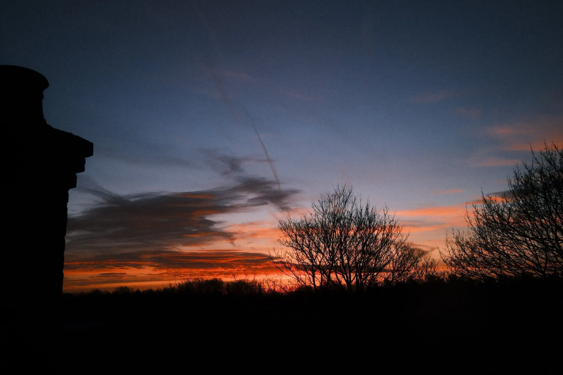 Sunrise in London. The trees silhouetted against the morning sun. The outline of a chimney pot visible in the foreground.