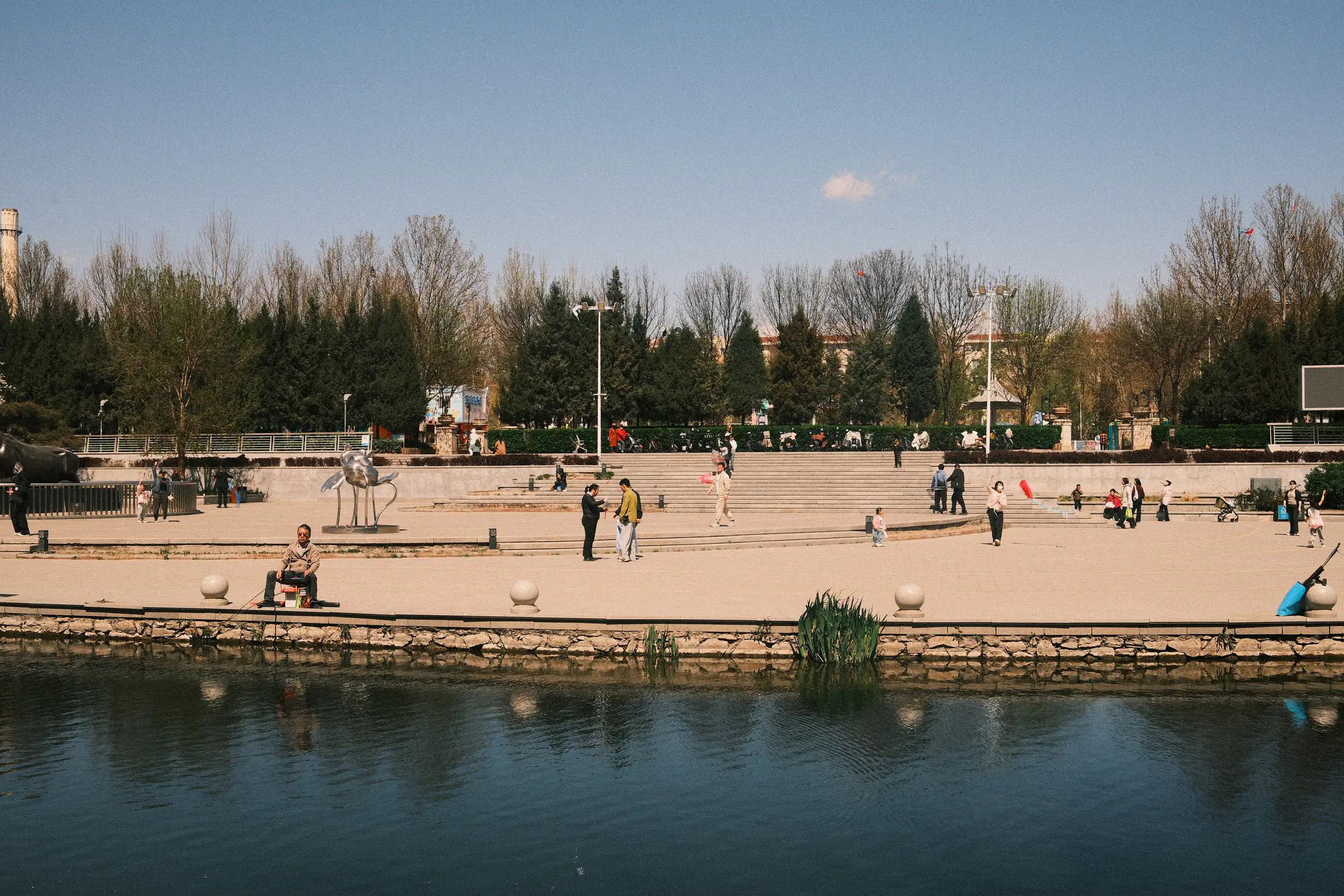 people enjoying time in a local park