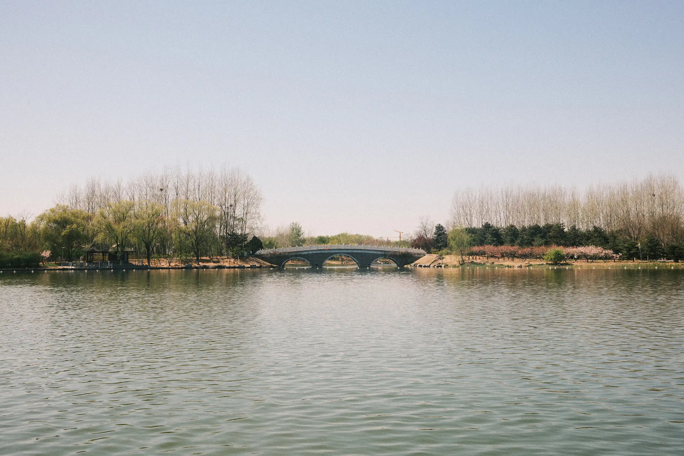 a view of the lake in Niantan park