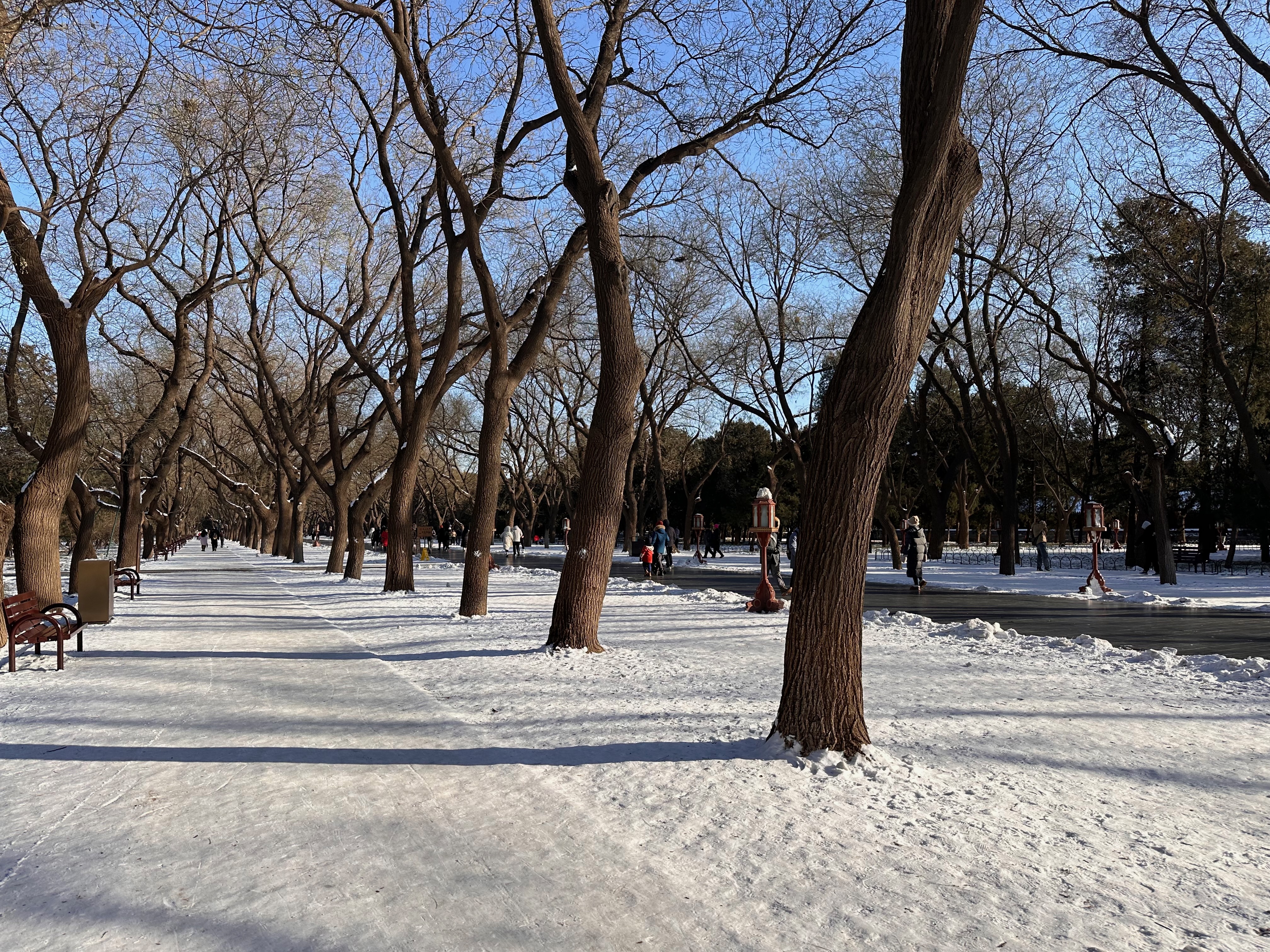 A view down a main walkway inside the west gate of the Temple of Heaven.