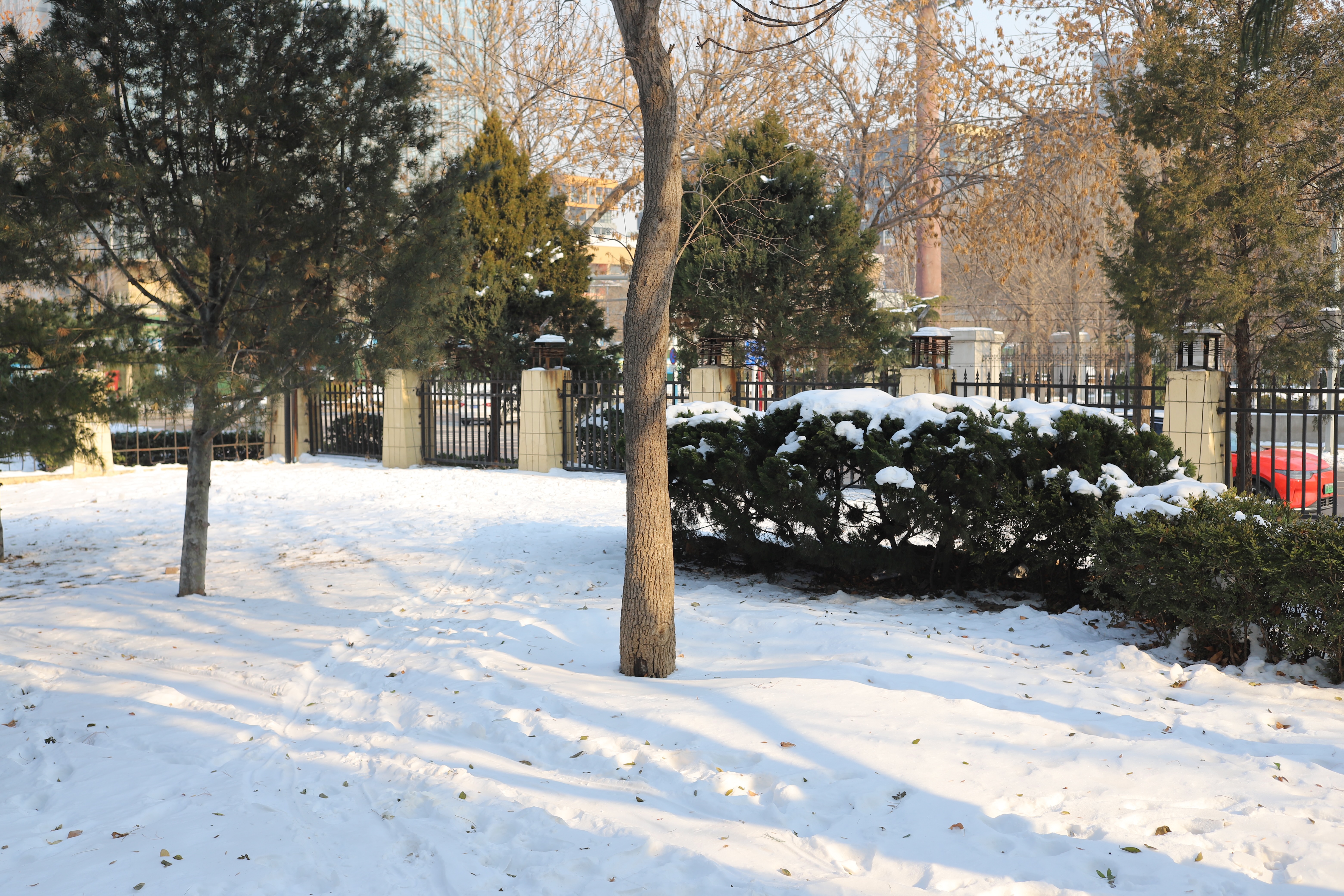 Heading out into the compound, still covered in snow.