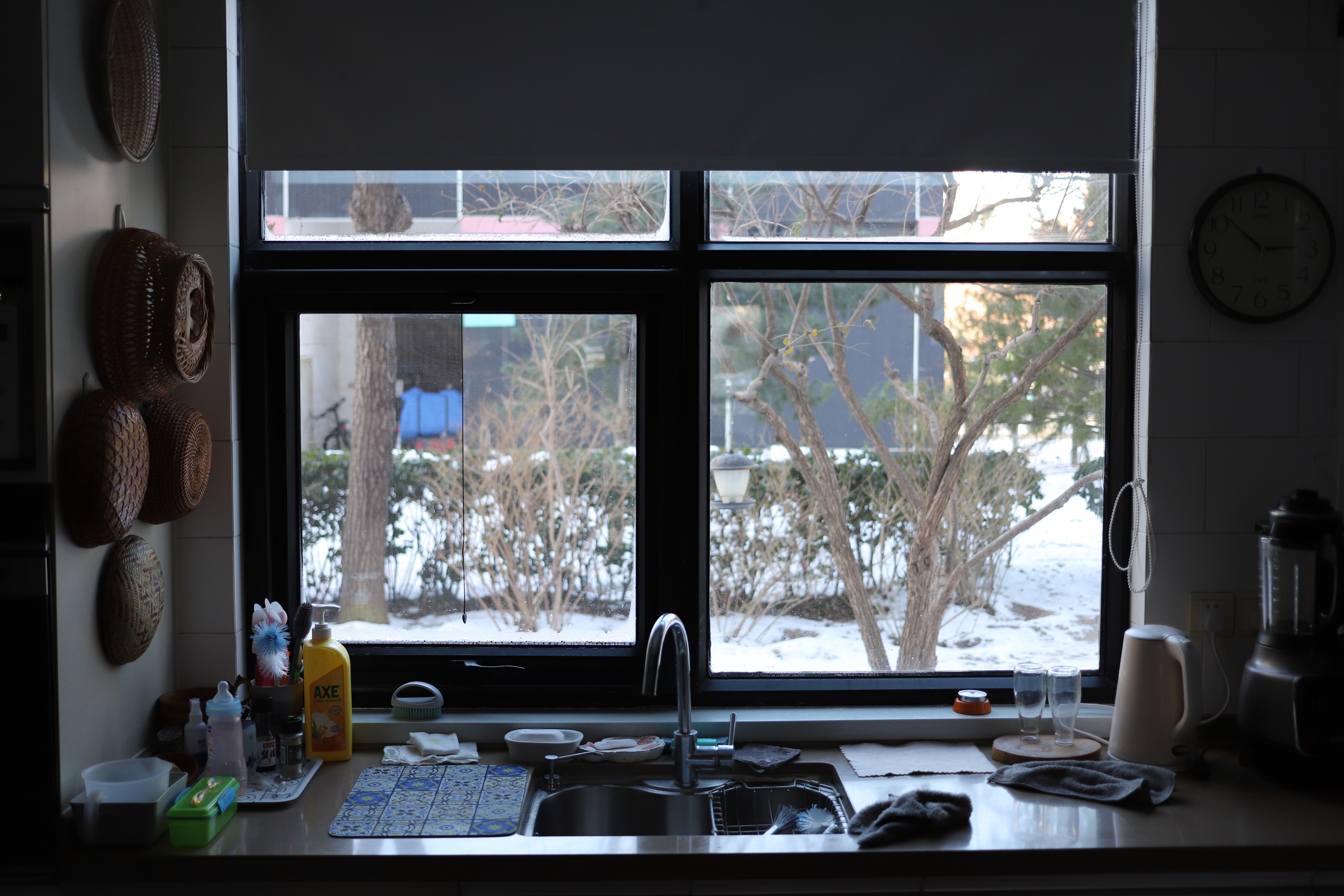 Looking out from the kitchen window.