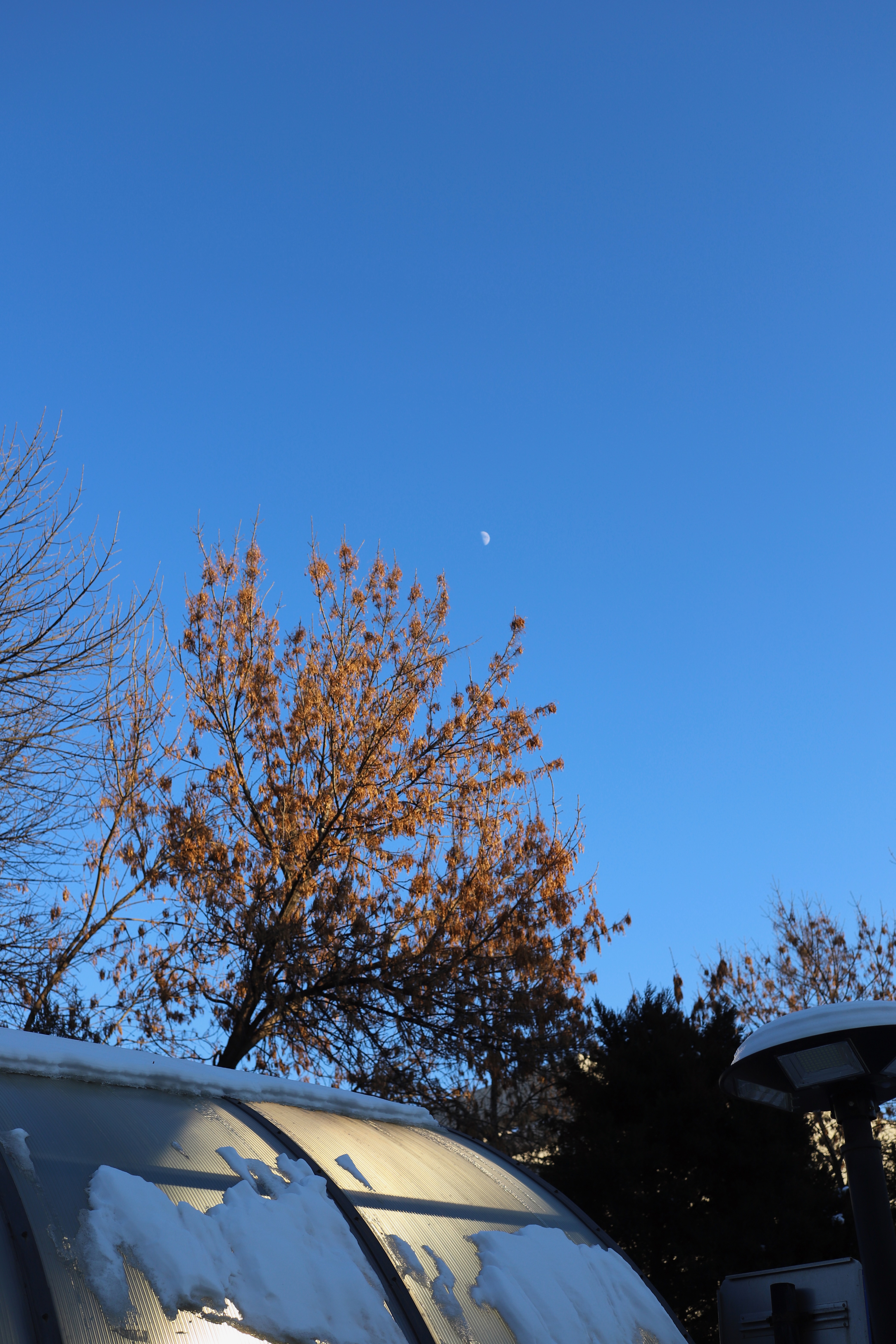 Half moon today. Half new or half old?
