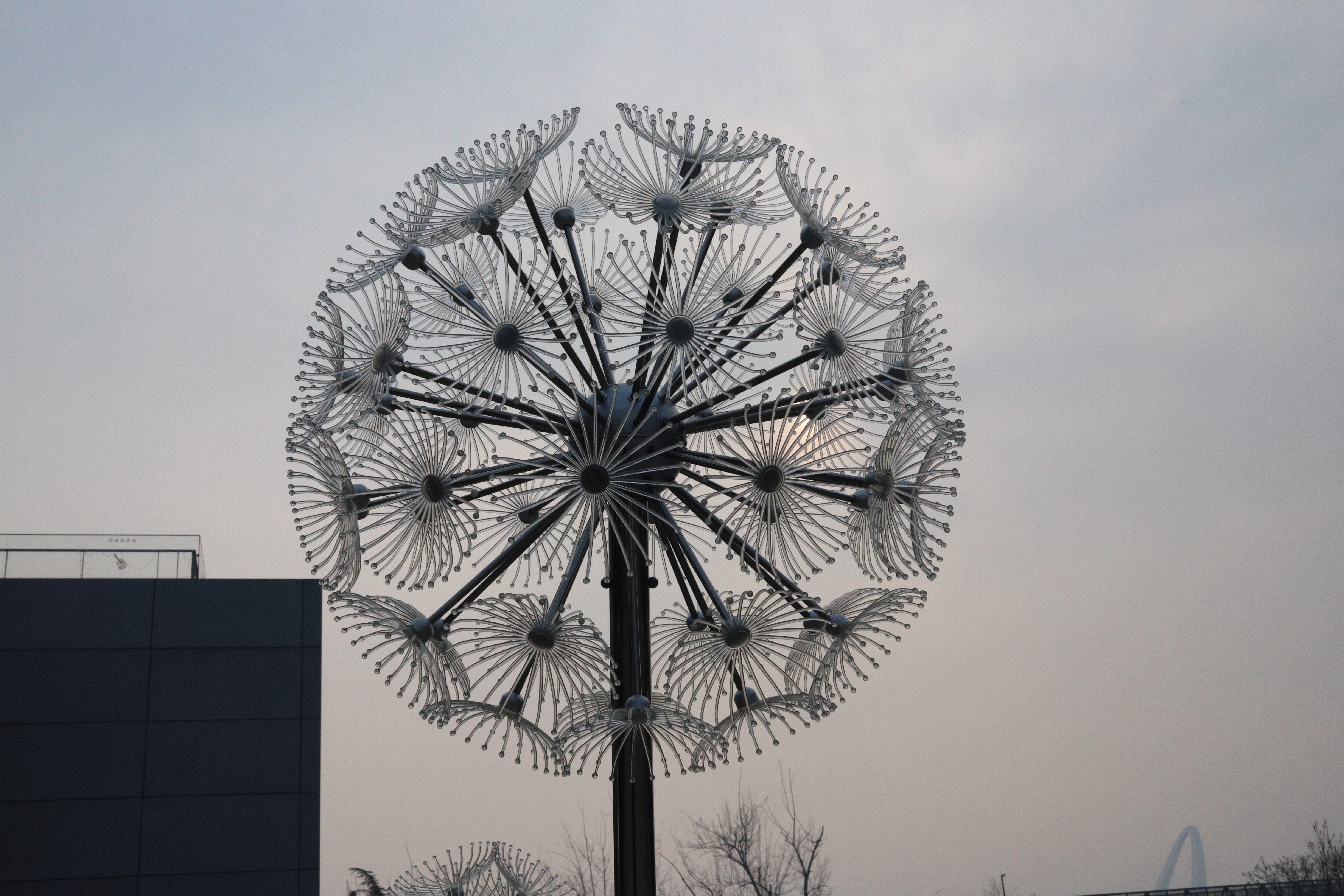 One of the first words my son learned in Chinese was 蒲公英, the word for dandelion.